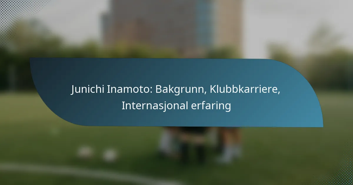 Junichi Inamoto: Bakgrunn, Klubbkarriere, Internasjonal erfaring