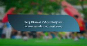 Shinji Okazaki: VM-prestasjoner, internasjonale mål, innvirkning
