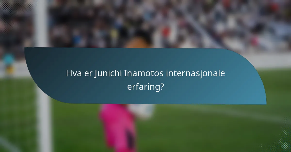 Hva er Junichi Inamotos internasjonale erfaring?
