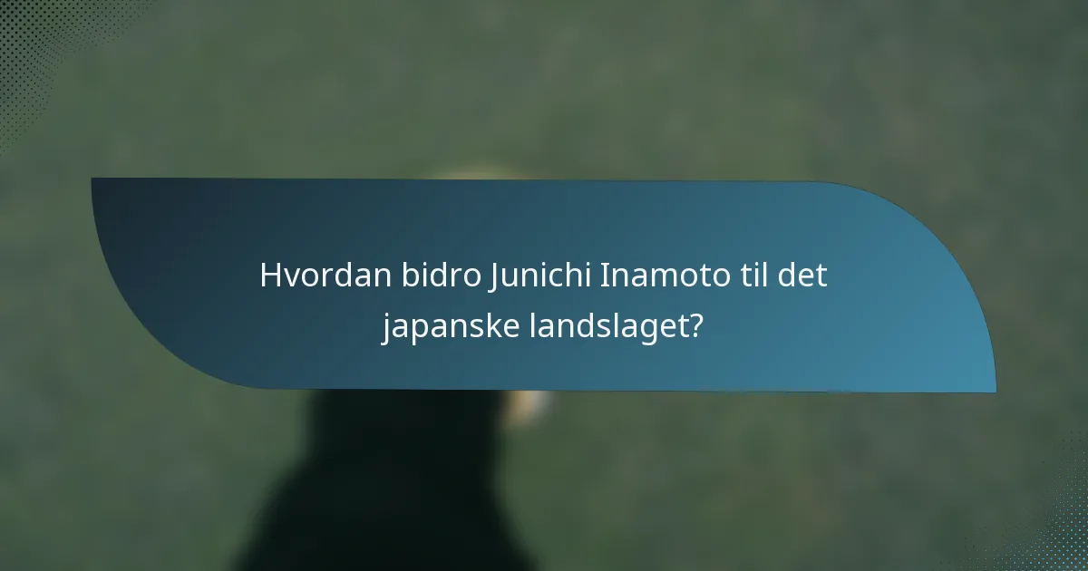 Hvordan bidro Junichi Inamoto til det japanske landslaget?